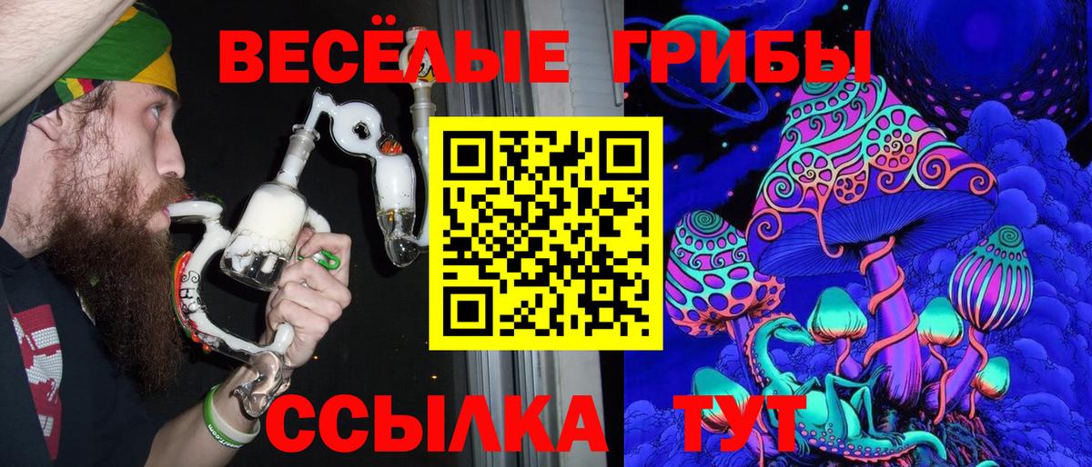 Галлюциногенные грибы мицелий Шали
